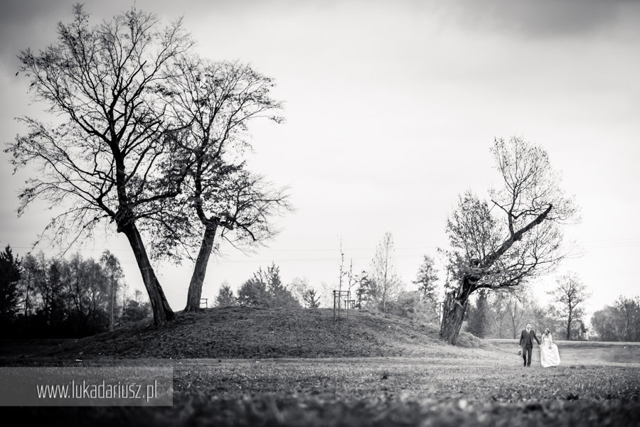 fotograf slubny w Brzozowie i Podkarpaciu