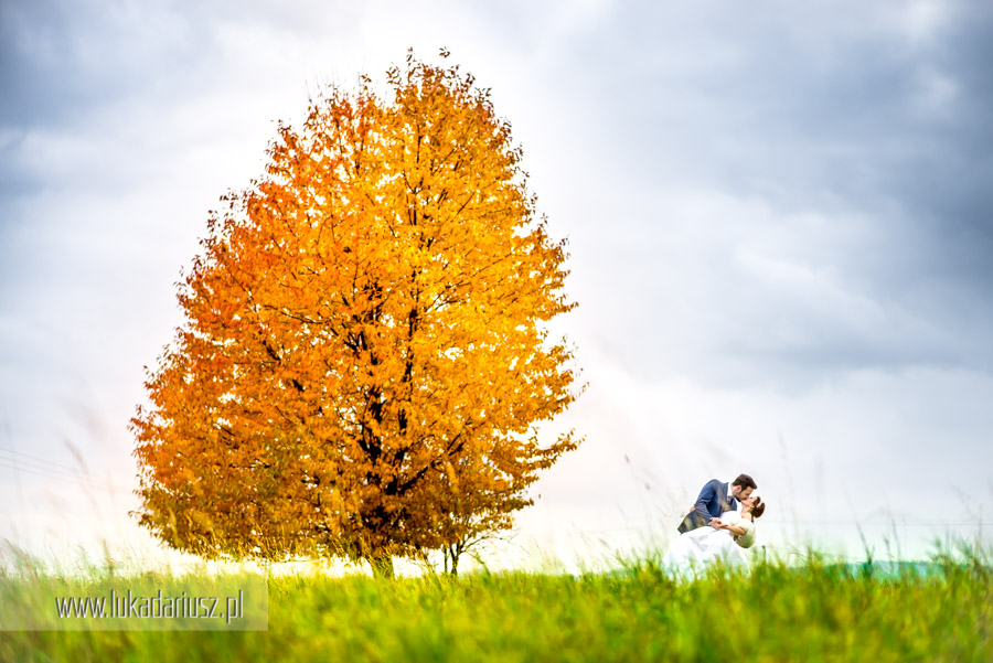 fotografia slubna Rzeszow